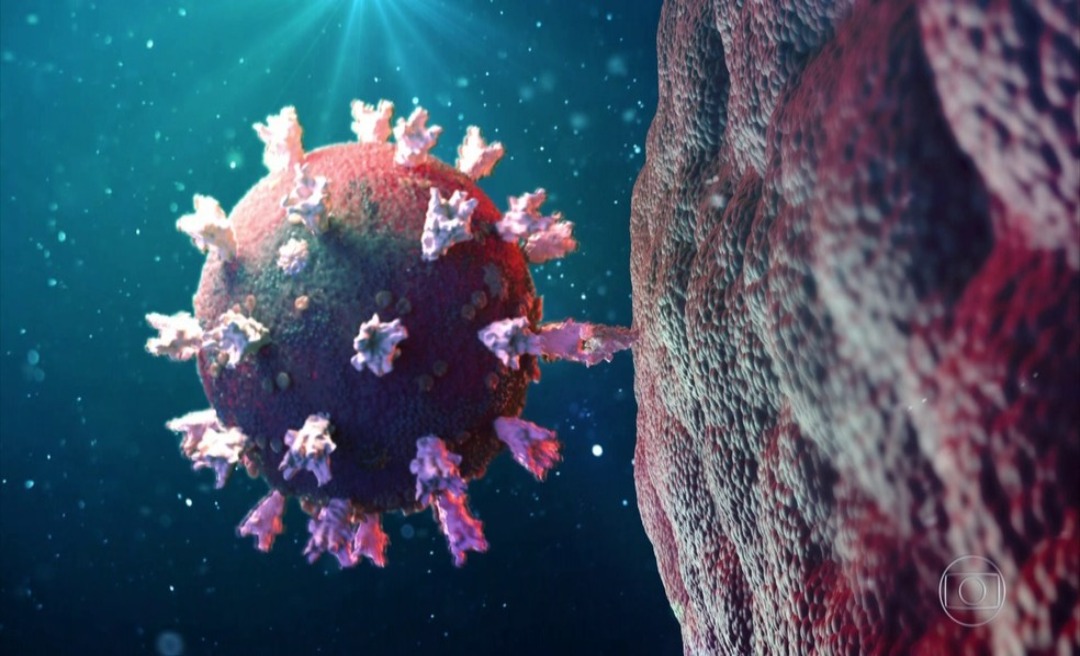 Acre registra 222 novos casos de covid-19 e uma morte pela doença nesta sexta